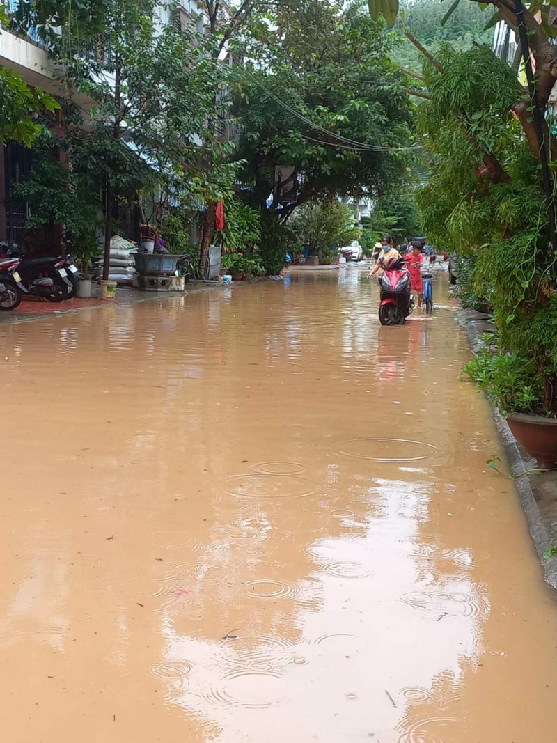 Bình Định mưa lớn nhiều nơi ngập sâu, 1 người tử vong - ảnh 2