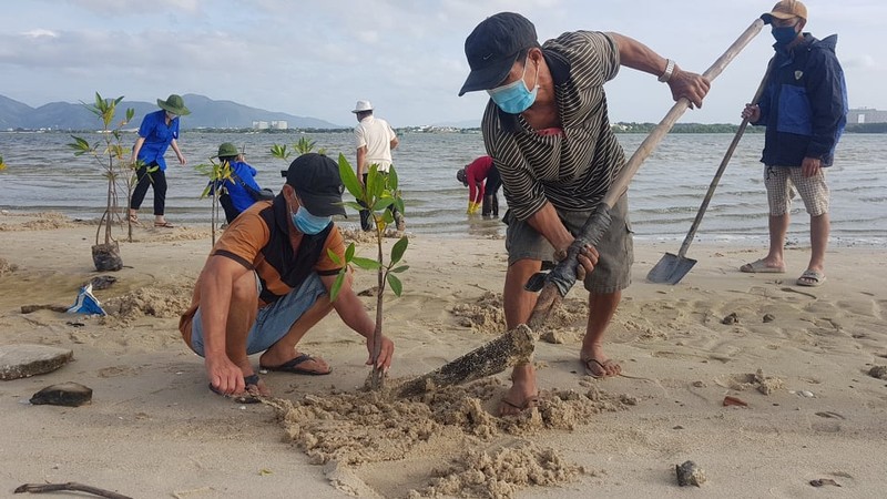 Phát động lễ trồng cây vì một Việt Nam xanh tại Khánh Hòa - ảnh 4