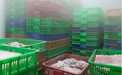 TP:HCM: Gần 5.600 kg thủy sản, thịt bẩn suýt lên bàn ăn  - ảnh 1