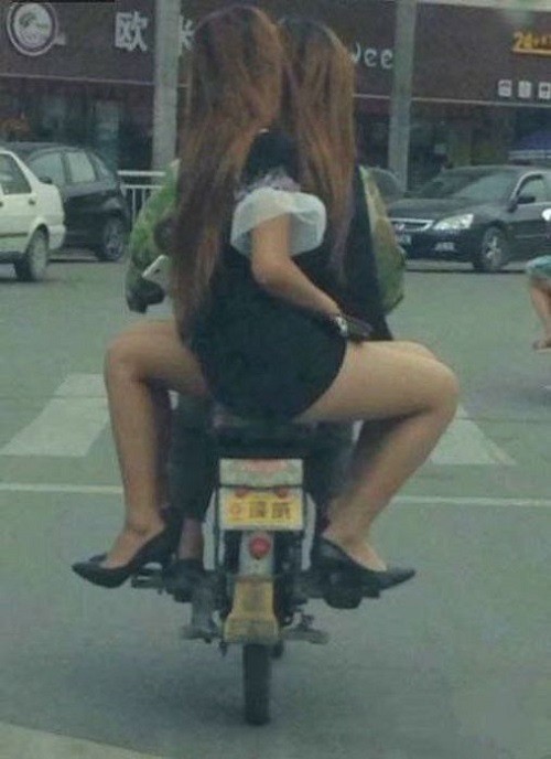 'Chết cười' với những bức ảnh hài hước - ảnh 7