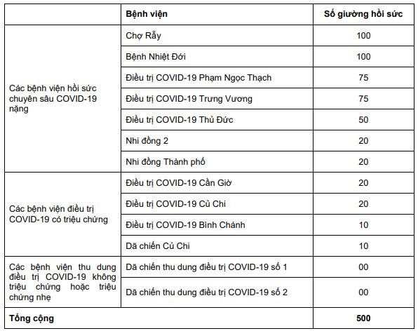 TP.HCM lên kịch bản ứng phó khi có 500 ca mắc COVID-19 nặng - ảnh 2