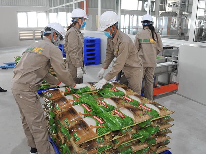 Giá gạo xuất khẩu của Việt Nam hiện đang cao nhất trong gần 10 năm qua, vượt qua gạo Thái Lan