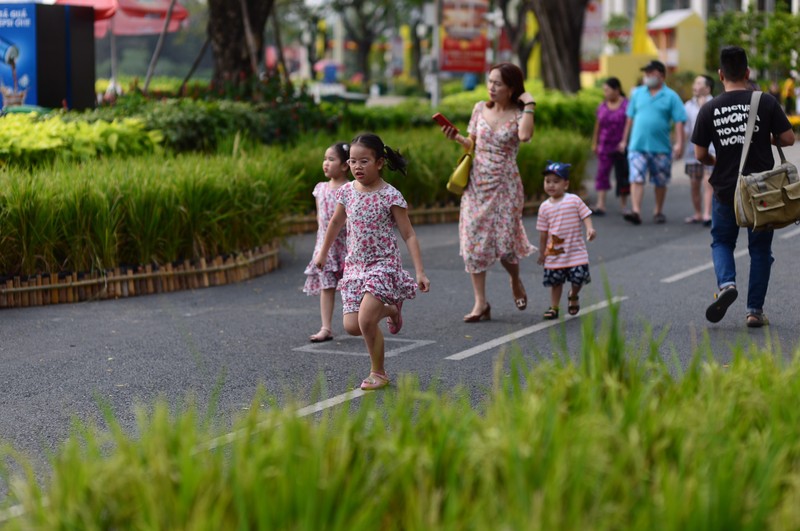 Xuân này vui chơi, giải trí ở đâu? - ảnh 2