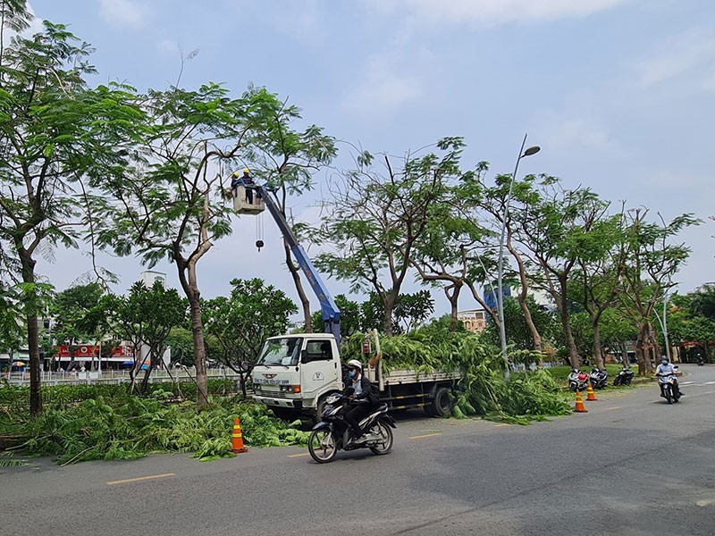 Báo sự cố cây xanh mùa mưa: Gọi 1022 - ảnh 1