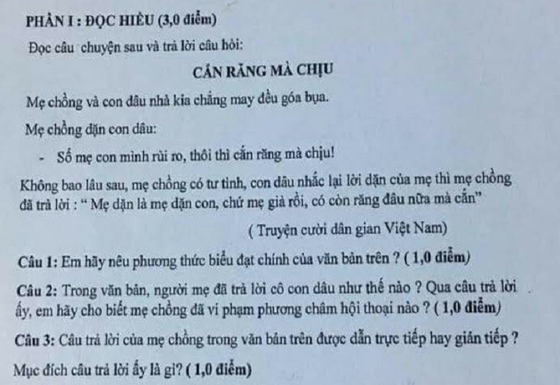 Giáo viên ra đề văn có nội dung ‘nhạy cảm’ - ảnh 1