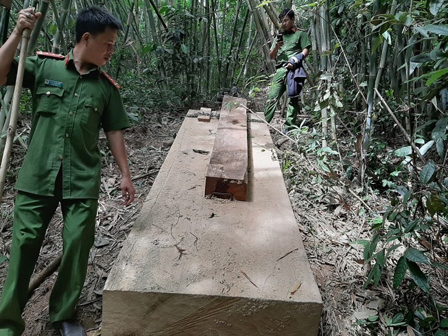 Kỷ luật cán bộ để mất rừng, làm trung gian cho vay lãi nặng  - ảnh 1