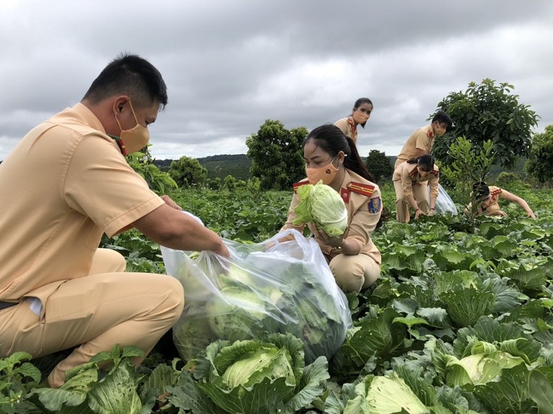 Hơn 10 tấn rau củ từ CSGT Đắk Nông hỗ trợ người dân TP.HCM - ảnh 2