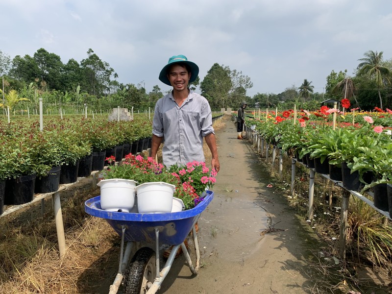 Làng hoa Sa Đéc: Hàng triệu giỏ hoa chuẩn bị ra chợ Tết - ảnh 6