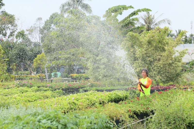 Làng hoa Sa Đéc: Hàng triệu giỏ hoa chuẩn bị ra chợ Tết - ảnh 11