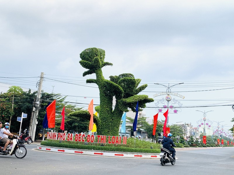 Sa Đéc tạm dừng mọi hoạt động trong 10 ngày - ảnh 1