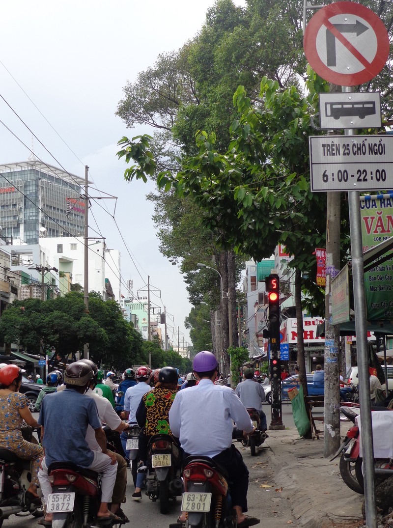 TP.HCM: Bắt được toàn 'xe lạ' đi vào đường cấm - ảnh 3