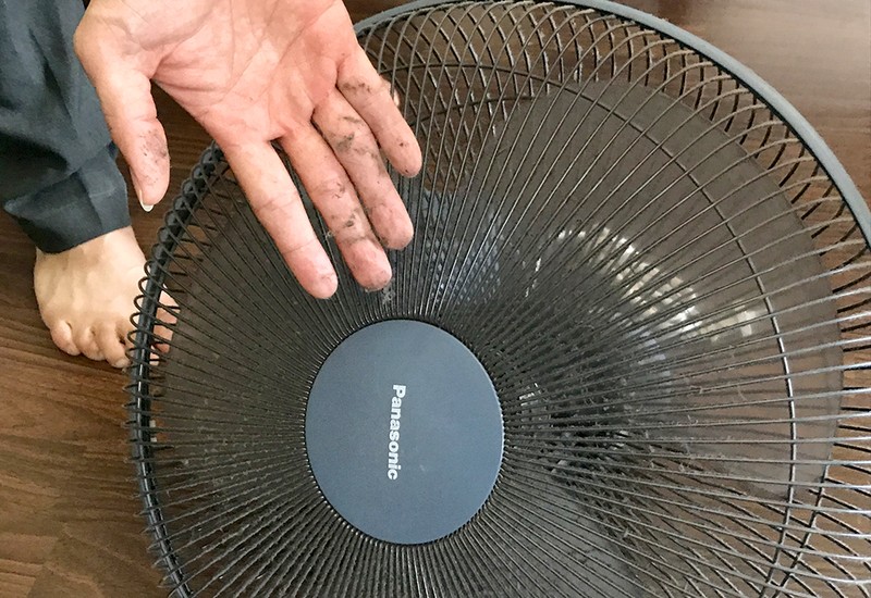 Cư dân Ehome 3 phản pháo vì chính quyền nói bụi vải là cỏ lau - ảnh 2