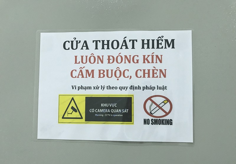 Ngày trở về ở Carina - ảnh 6