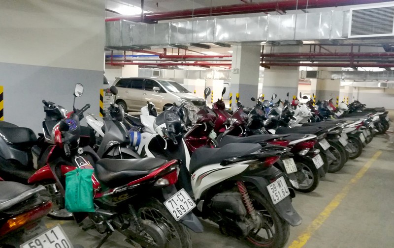 Ngày trở về ở Carina - ảnh 3