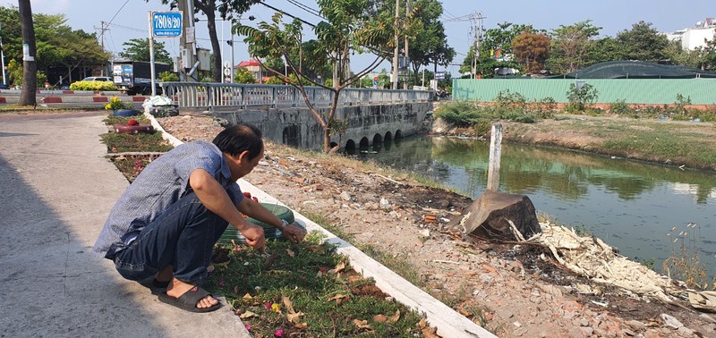 Vũng Tàu: Bờ kênh 'đổi sắc' nhờ đường hoa xã hội hóa - ảnh 2