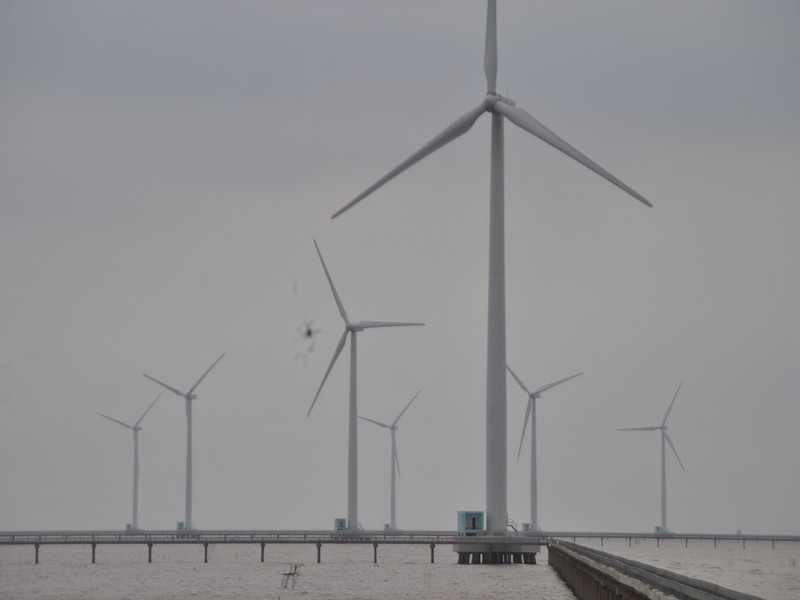 Dự án điện gió 1.000 ha ở Bà Rịa-Vũng Tàu giờ ra sao? - ảnh 2