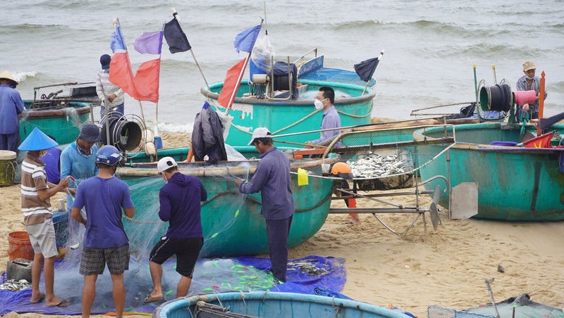 Ngư dân vùng xanh Bà Rịa- Vũng Tàu đi biển chuyến đầu tiên sau giãn cách - ảnh 1