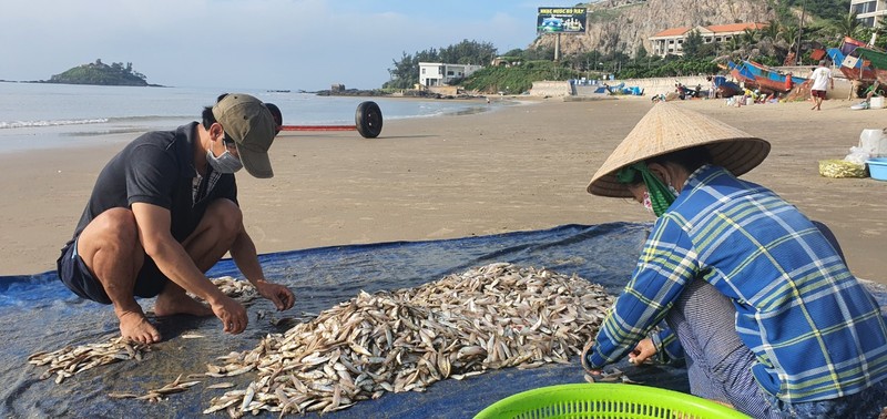 Ngư dân Vũng Tàu phấn khởi đi biển trở lại sau hơn 2 tháng giãn cách  - ảnh 3