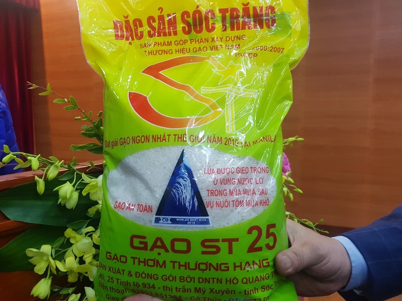 Ông Hồ Quang Cua nói về việc mang 'hoa hậu gạo' - ST25 đi thi - ảnh 3