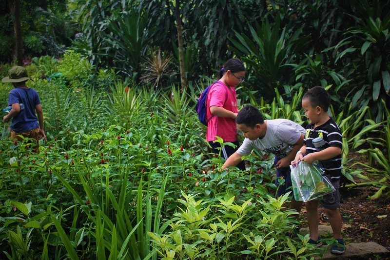 Nghỉ hè mùa dịch, con học những gì? - ảnh 3