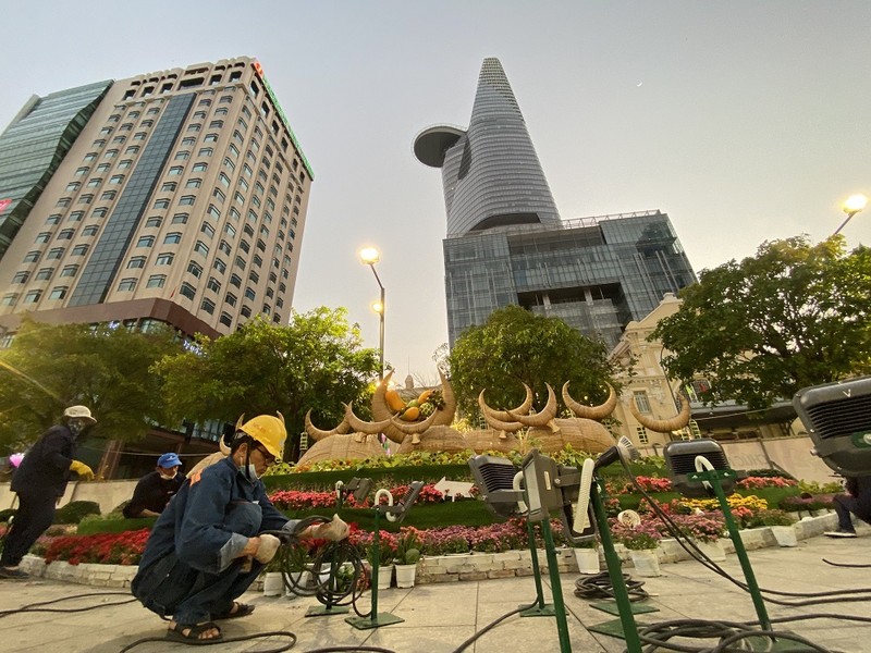 thu-don-duong-hoa-nguyen-hue