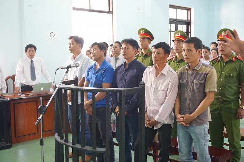 Vụ cưa gỗ khô trong rừng: Tòa vẫn tuyên có tội - ảnh 1