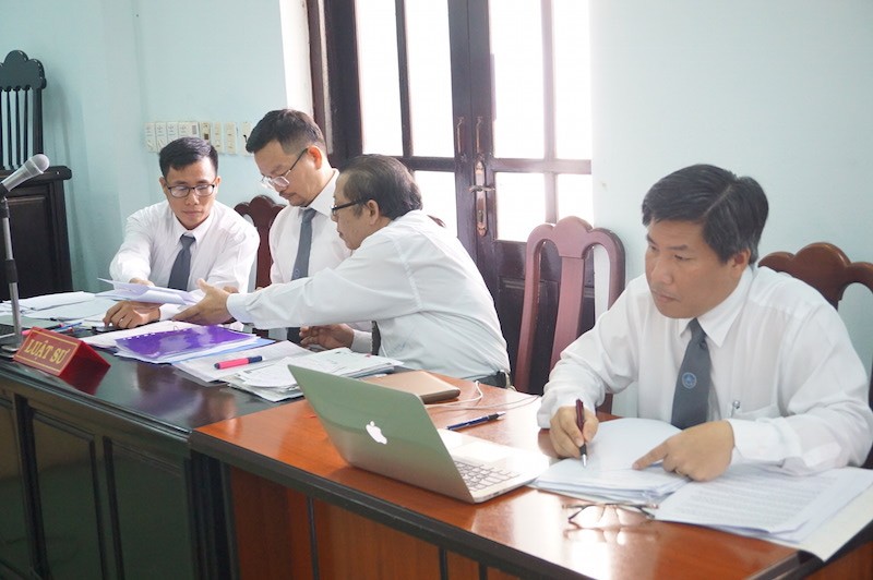 Vụ cưa gỗ khô trong rừng: Tòa vẫn tuyên có tội - ảnh 3