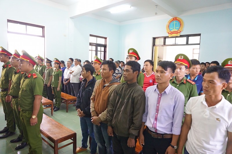 Vụ cưa gỗ khô trong rừng: Tòa vẫn tuyên có tội - ảnh 2