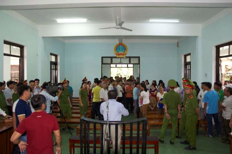 Vụ cưa gỗ khô trong rừng: Tòa vẫn tuyên có tội - ảnh 4