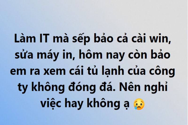 Làm IT nhưng sếp bảo cài win, sửa máy in: Có nên nghỉ việc? - ảnh 1