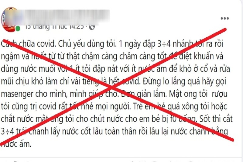 Không có chuyện dùng tỏi trị dứt COVID-19 trong vài giờ đồng hồ - ảnh 2