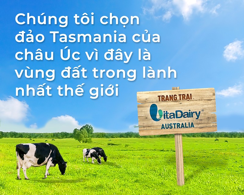 VitaDairy sở hữu trang trại sữa tại đảo Tasmania Australia - ảnh 1