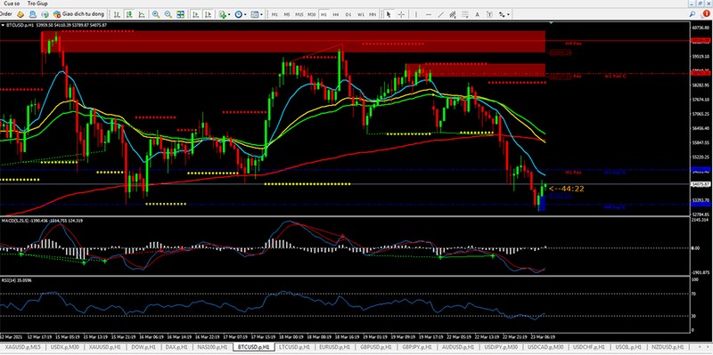 NHNN khuyến cáo rủi ro nhà đầu tư giao dịch sàn Forex - ảnh 1