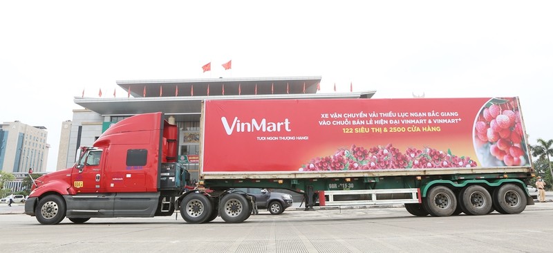 VinMart cam kết thu mua 2.000 tấn và bán vải thiều trên sàn Lazada - ảnh 2