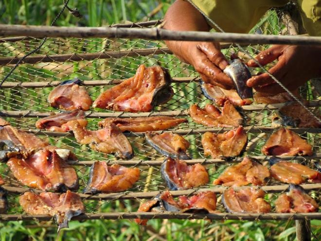 Tràm Chim, thiên đường mùa nước nổi - ảnh 13