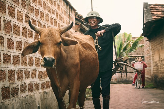 Những nét cổ Đường Lâm - ảnh 7