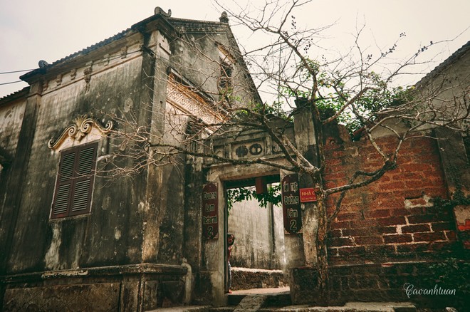 Những nét cổ Đường Lâm - ảnh 6