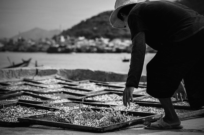 Việt Nam trong bộ ảnh ẩm thực đẹp nhất thế giới - ảnh 3