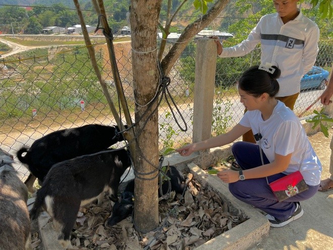 Kỳ Duyên, Minh Triệu tặng dê giống cho bà con ở Quảng Nam - ảnh 3