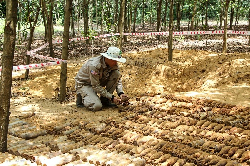Phát hiện hầm đạn cối gần 500 quả tại Quảng Trị - ảnh 1