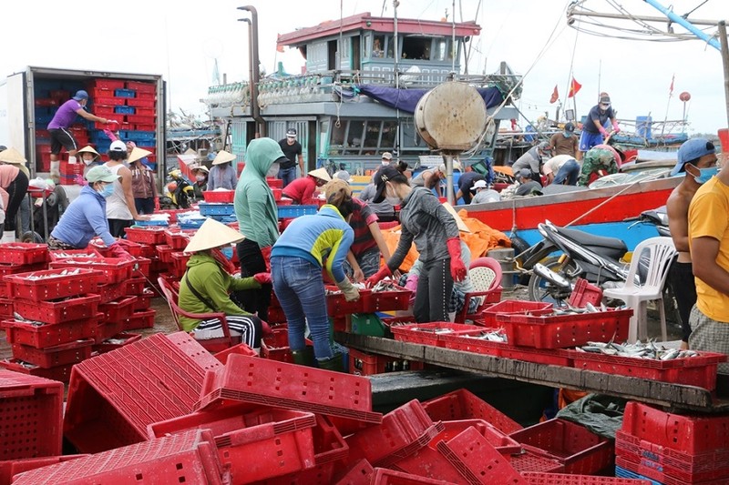 Thừa Thiên - Huế lên phương án dời dân tránh bão số 5 đảm bảo phòng dịch - ảnh 1