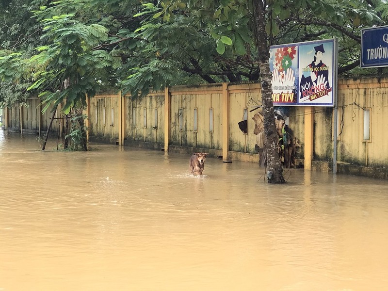 Nhiều nơi ở TP Đông Hà ngập sâu, di tản học sinh - ảnh 1