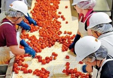 Quản lý không cần sếp - ảnh 1