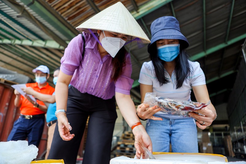 Người dân Quảng Bình góp cá gửi tới khu cách ly, phong tỏa tại TP.HCM - ảnh 4
