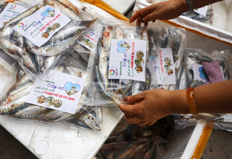 Người dân Quảng Bình góp cá gửi tới khu cách ly, phong tỏa tại TP.HCM - ảnh 5