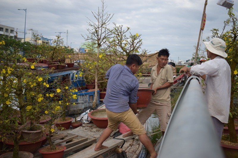 Tin vui: Nghiên cứu tháo từng đoạn rào sắt ở bến Bình Đông  - ảnh 2