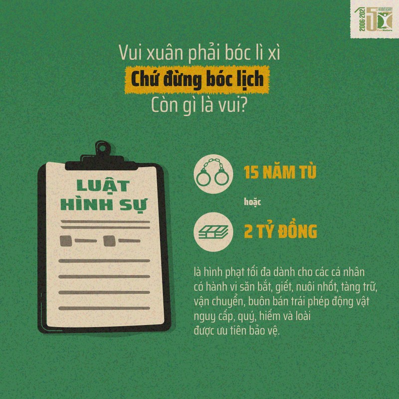 Vui xuân để không 'bóc lịch', nhớ kĩ những điều này - ảnh 7