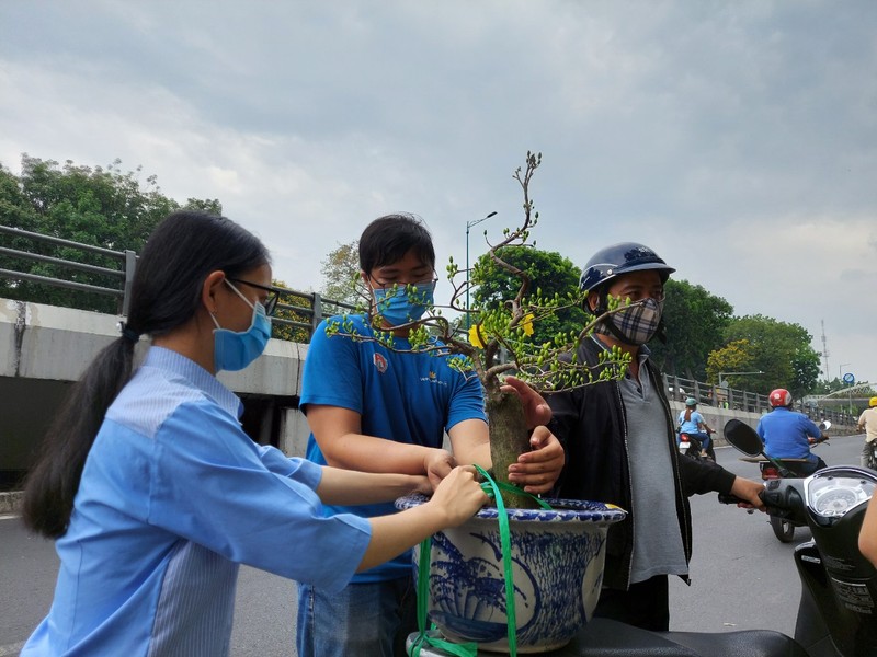 Ngày 30 Tết: Tấp nập mua bán, cây kiểng 'cháy hàng' - ảnh 2