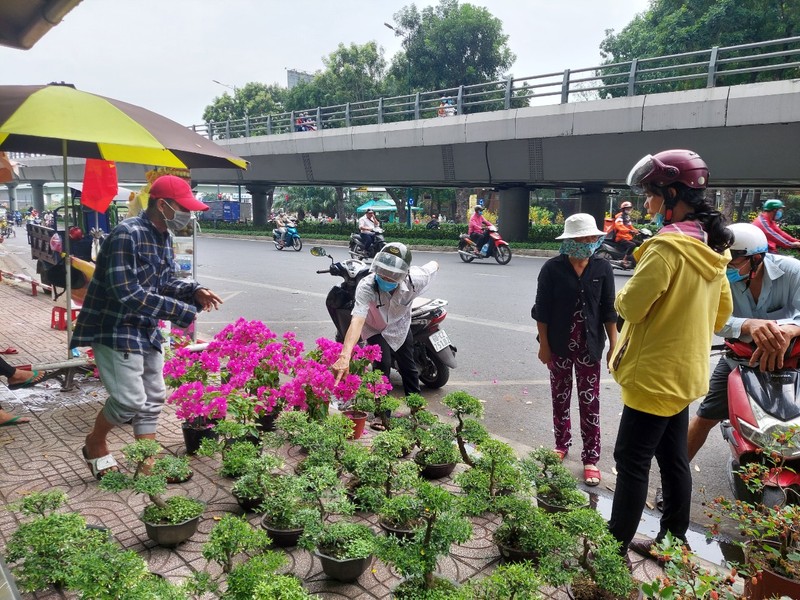 Ngày 30 Tết: Tấp nập mua bán, cây kiểng 'cháy hàng' - ảnh 6