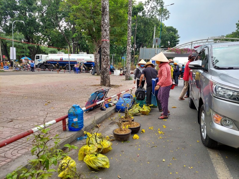 Nhà vườn dọn dẹp cây kiểng, trả mặt bằng về nhà đón Tết - ảnh 6